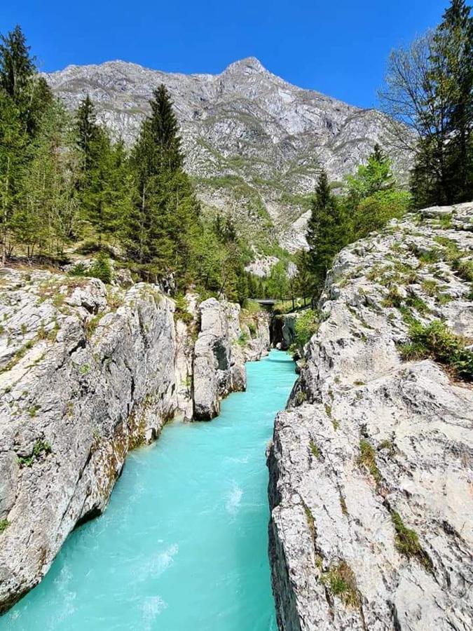 Appartamento Hisa Lojz Zaga Esterno foto