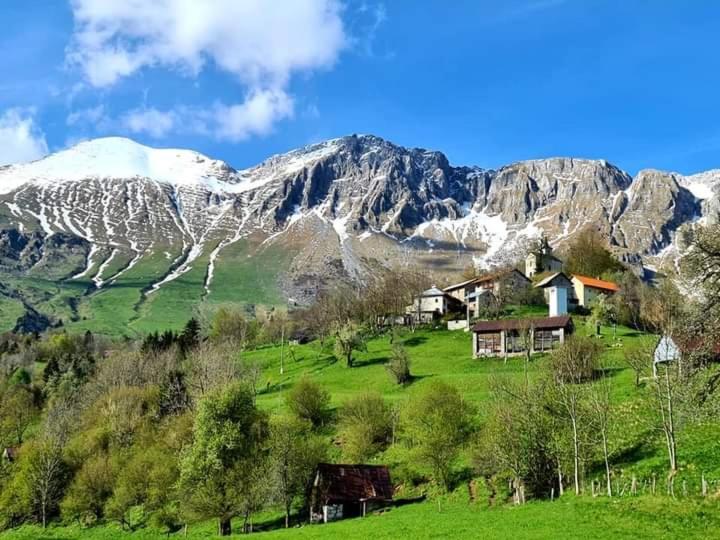 Appartamento Hisa Lojz Zaga Esterno foto